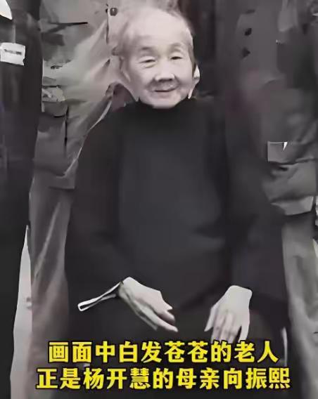 板仓杨家的门，被叩响的时候，向振熙老人正在院子里择菜。来人递上一封电报，说是