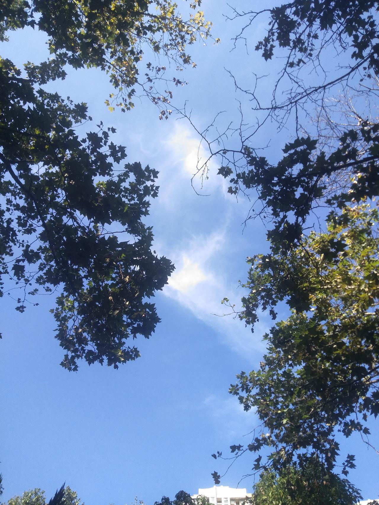 一位外省来云南旅游的外省朋友听到云南人抱怨,好久不见蓝天白云了。他觉得奇怪,