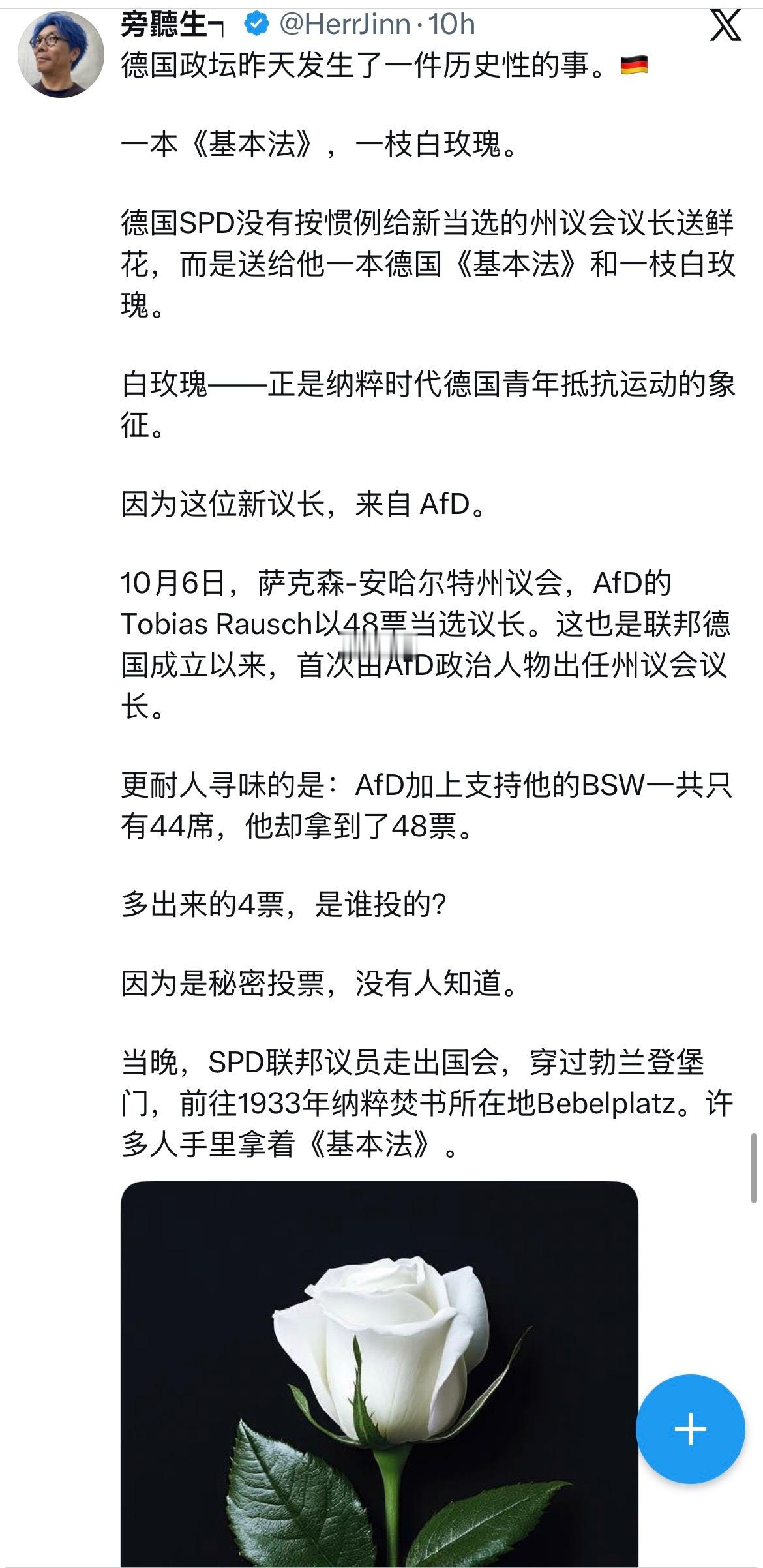 德国极右给人的历史记忆太深刻了​​​