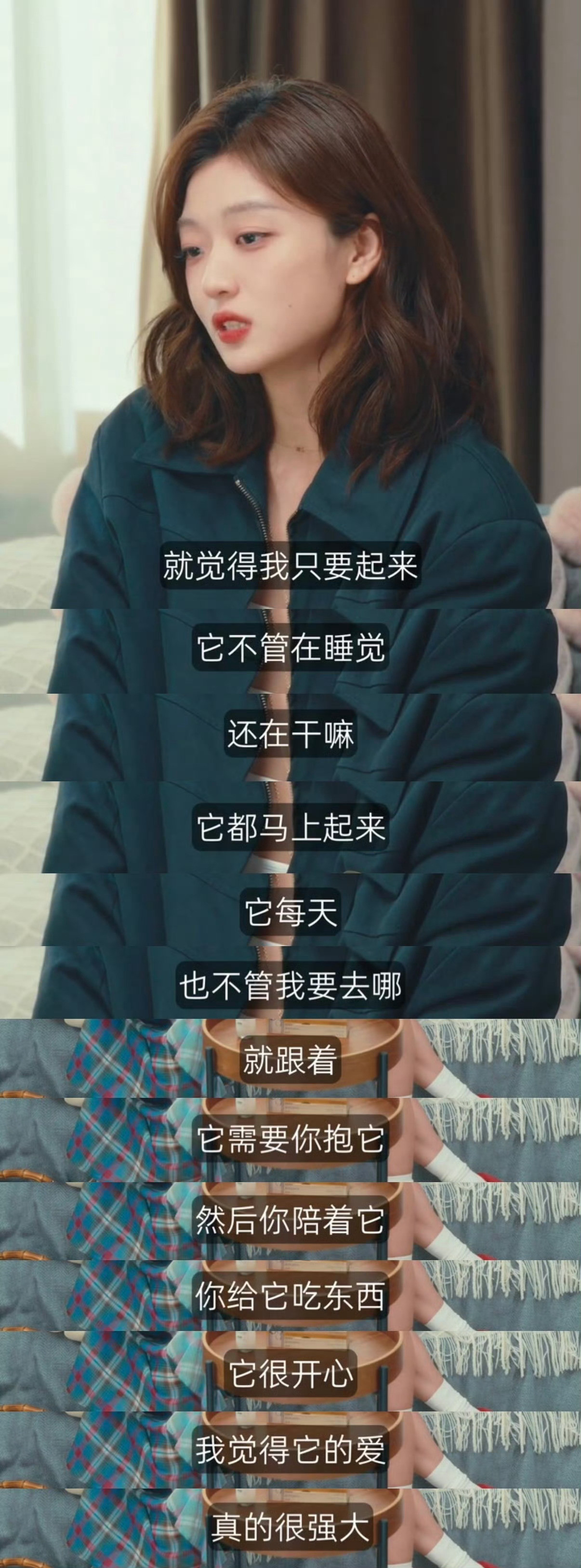 孙千让刘恋别怀疑小狗别怀疑爱刘恋被孙千这句话狠狠戳中了！小狗的爱永远热烈又纯粹，
