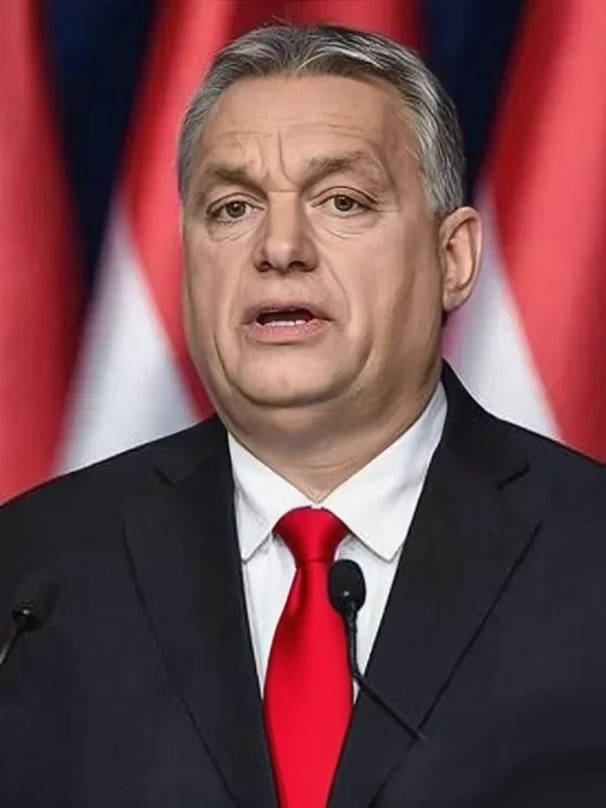 4月4日，匈牙利总理欧尔班突然在社交媒体发出重磅警告：一场严重的能源危机正在