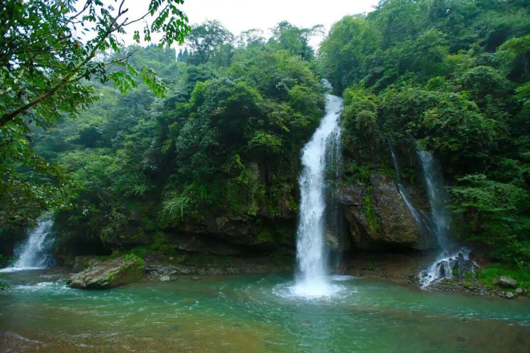 盛夏城区闷热难熬，四川各大山林就是天然空调房。不管是高海拔景区，还是近郊免费步道