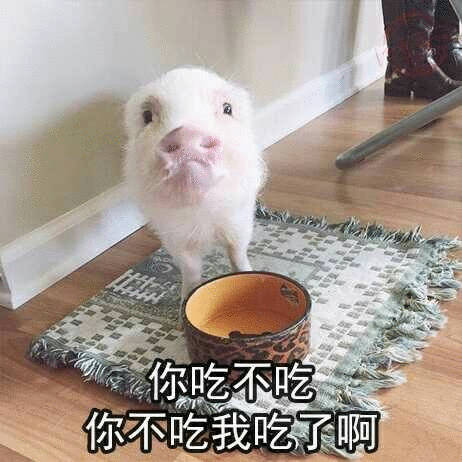 罗永浩称西贝儿童餐年龄比儿童大说的挺歹毒了那以后就别带孩子去吃了但是想想以前什么