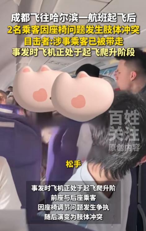 国内一航班爆发恶性斗殴冲突！飞机正处爬升期，两乘客大打出手！ 经常坐飞机的小