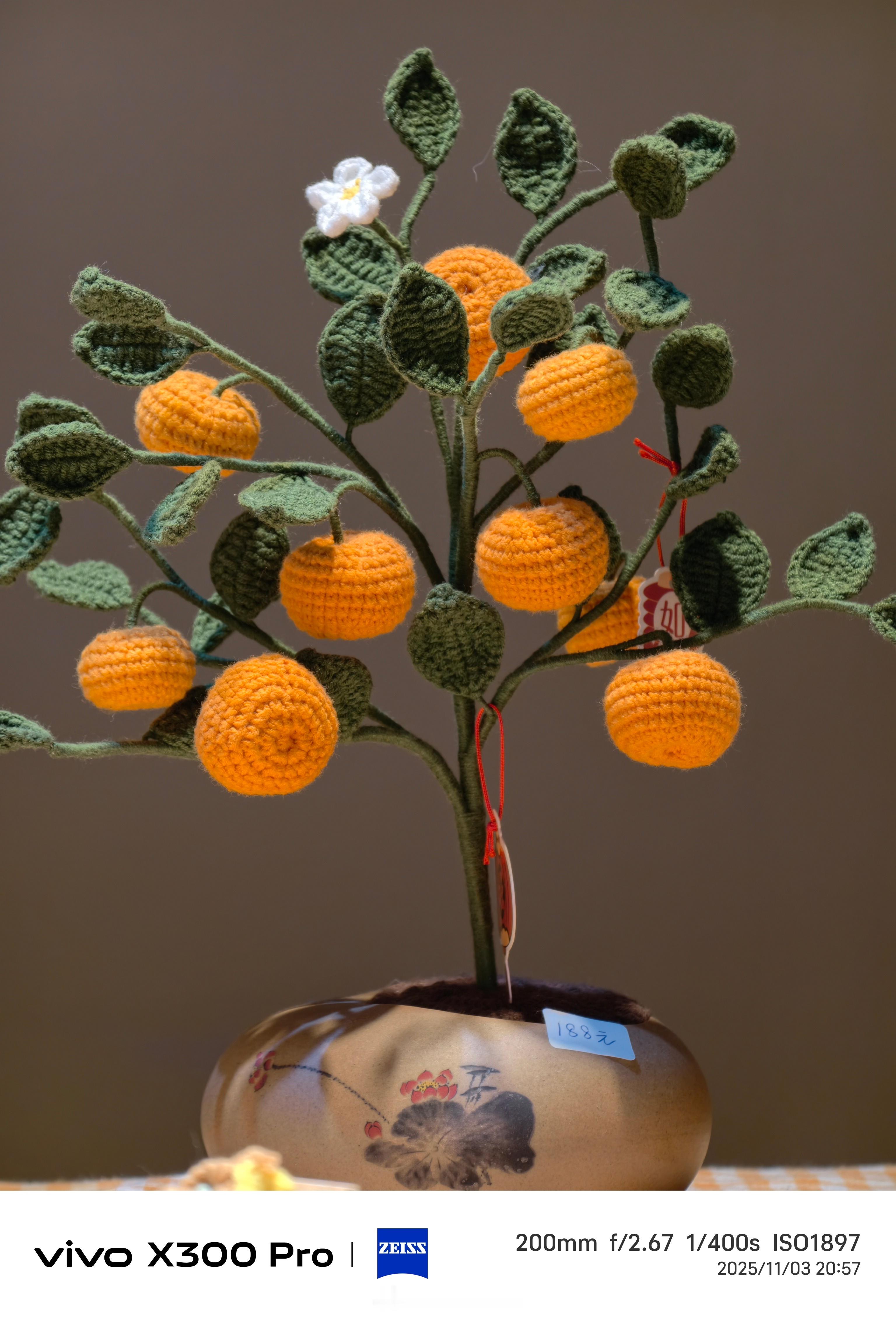 vivoX300Pro➕蔡司增距镜是等效200mm，OPPOFindX9