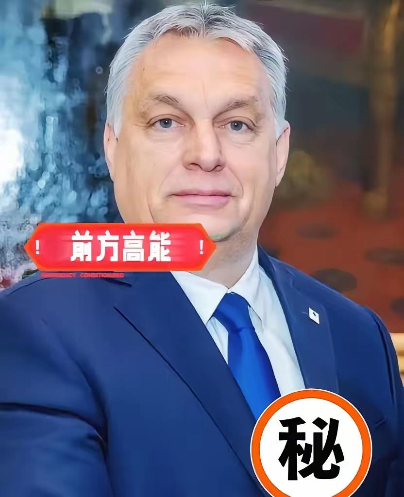 欧尔班直接撕下了西欧的遮羞布！他点名德国福利快撑不住了。法国电费疯涨。欧盟跟美