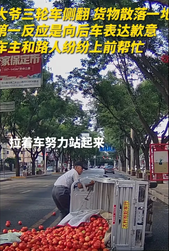“温暖人心!”河北保定，大爷用三轮车拉了一车货物，突然侧翻，货物散落一地，大爷忍
