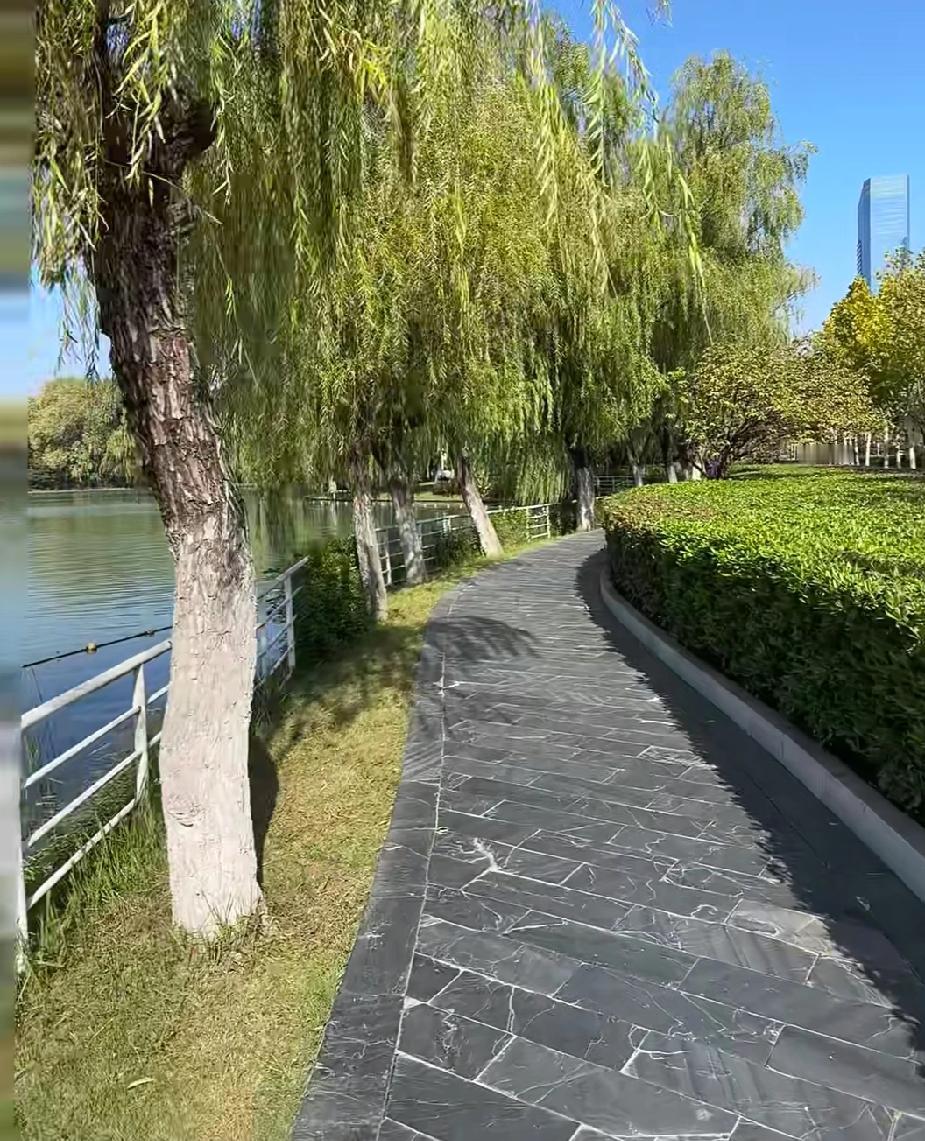 跑步的说跑步好，练瑜伽的说练瑜伽好，站桩的说站桩好，其实不要人云亦云，找到适合自