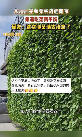 这脑子也太灵活了！江西一名女子家里一到夏天就被西晒，室内热得跟蒸笼一样，她既没安