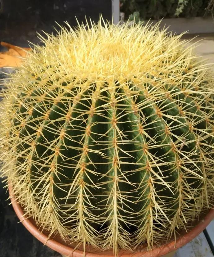 不知道怎么搞的经常性的老婆和我吵架说心里话从我们结婚到现在已经三十