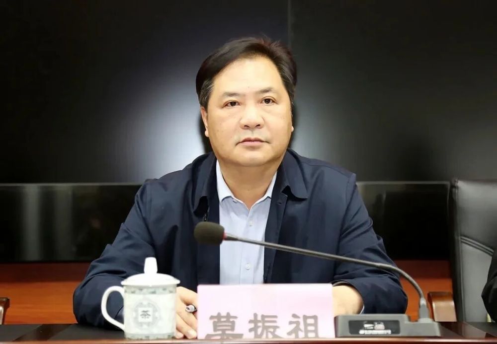 河池市人大常委会党组书记、主任莫振祖, 任上被查