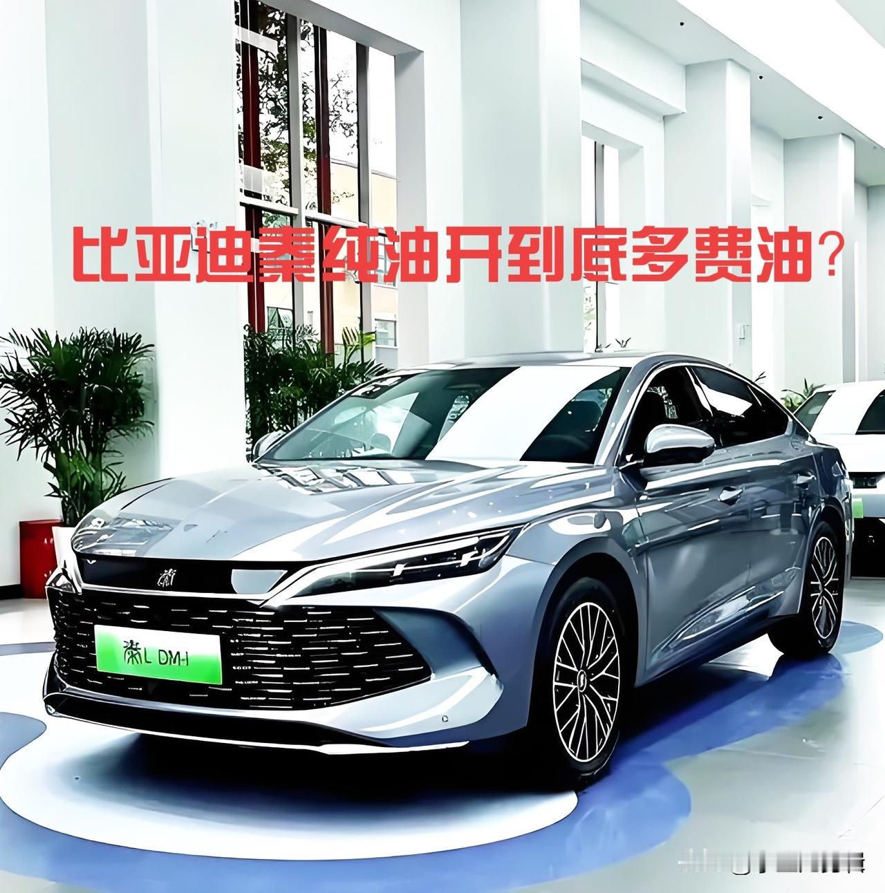 DM-i的车主，今天把纯油（亏电）油耗扒得明明白白，全是实测干货，家用党直接抄作