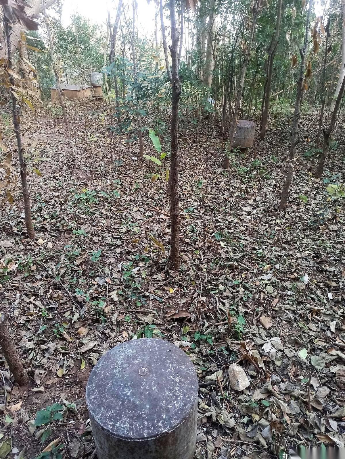 徐州云龙山上，赫然钉着6个大铁疙瘩。光秃秃的山石之间，这几个黑黢黢的玩意儿，看