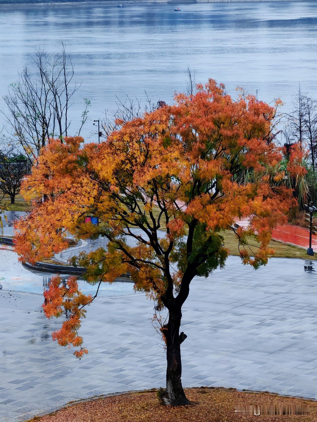 考研难度不同，孩子压力肯定不小。安慰他们得讲究方法。今年我家孩子考研可能又要失