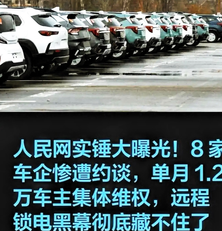 500公里续航的车，实际不到300公里，车企恶意锁电激怒央视。近日，看到央视曝光