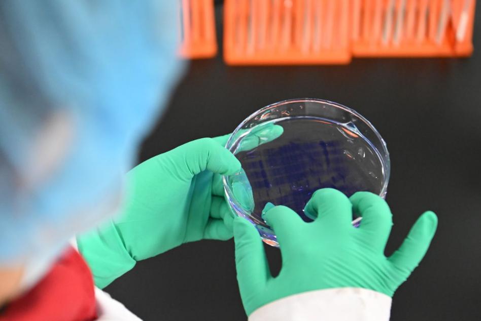 剑指“十五五”新引擎！中国43家生物制造平台落地，700亿出海成绩单加码1