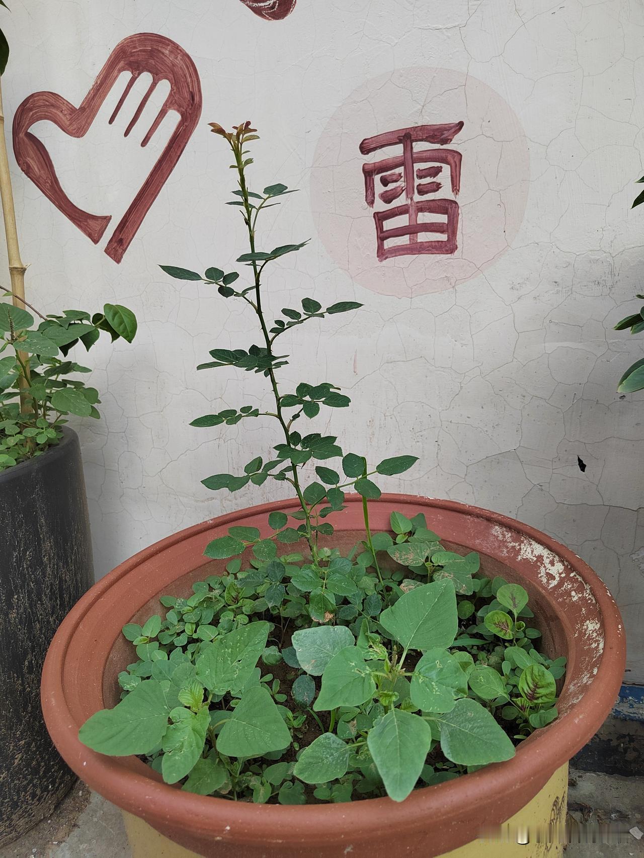 退休了，只拼两样东西，连金钱都得靠边站人一退休，经济已成定局，再找工作，那是不