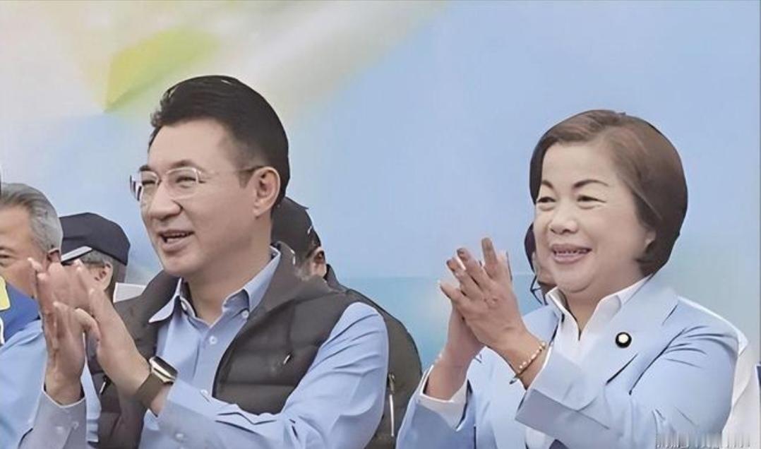 杨琼璎和江启臣谁最适合当台中市长候选人？要说杨琼璎和江启臣谁更适合当台中市长候