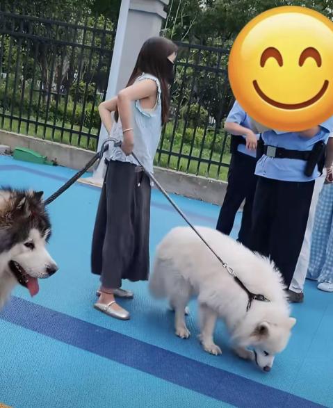 前两天小区，一女子牵着两只大型犬遛弯时，咬伤了一孩子，孩子家长报了警，民警来了解