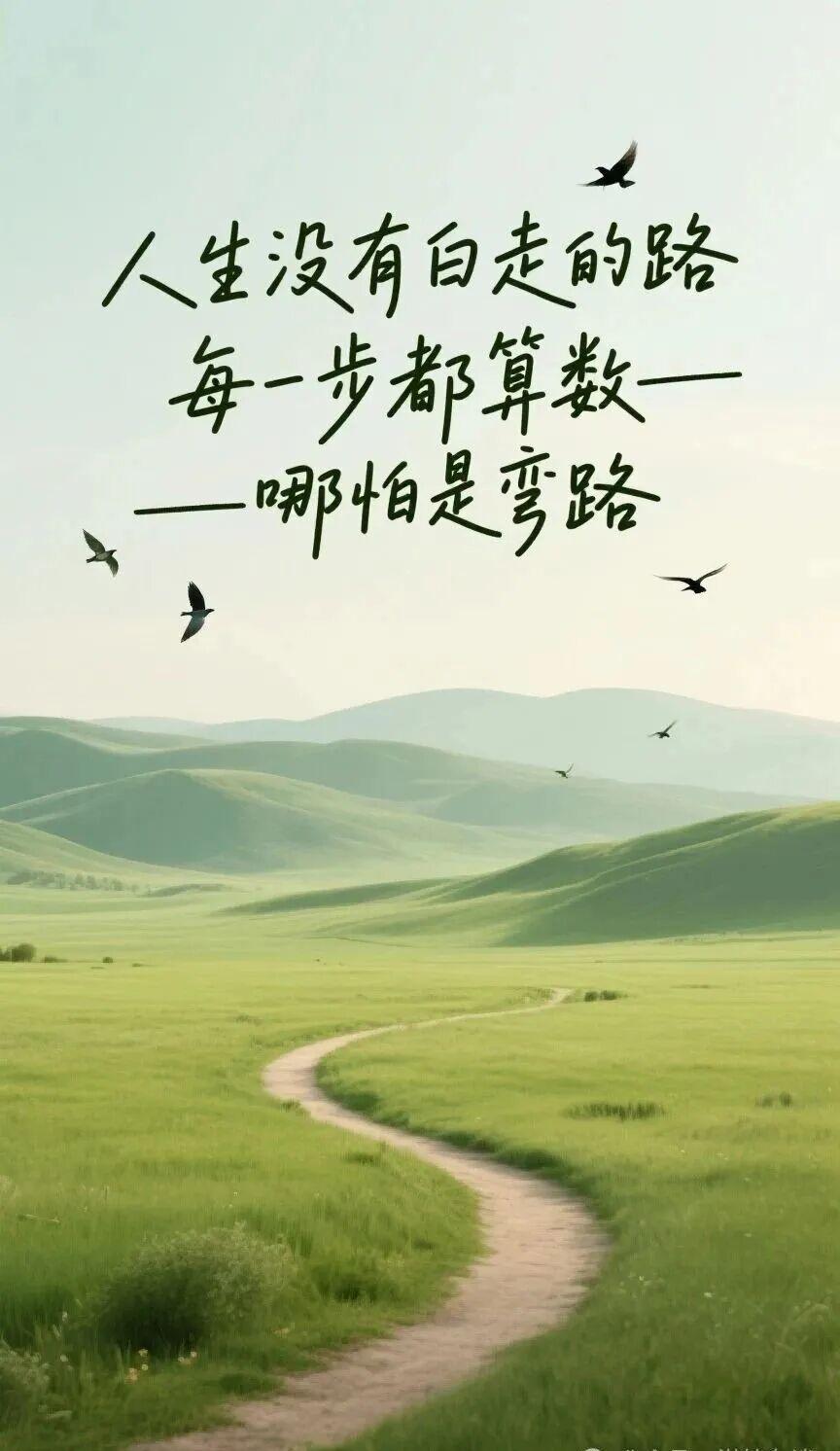 早安别嫉妒别人的一鸣惊人，每一只破土的蝉，都曾在不见光的地下，独自穿行过无数个沉