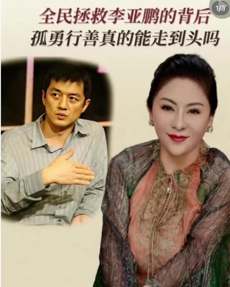 向太陈岚喊话李亚鹏：放过自己！陈岚坦言佩服李亚鹏，20年公益路，默默完成1万一