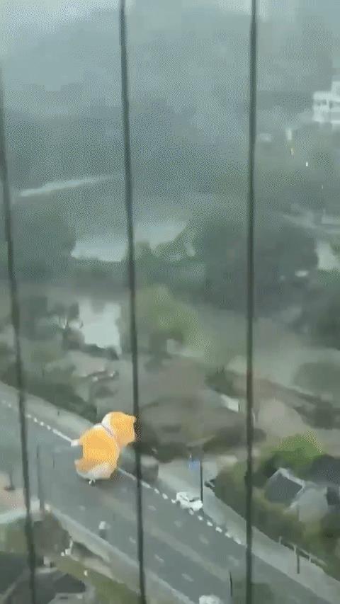 车主：交警，我的车被狗压了。。交警：请你说话不要带情绪！广州，一只放在草坪的