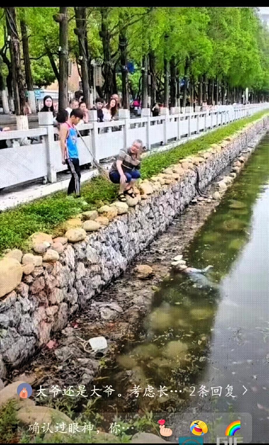 护城河里漂着一名女子，只有面部口鼻勉强露出水面，人一动不动，看上去情况不妙。