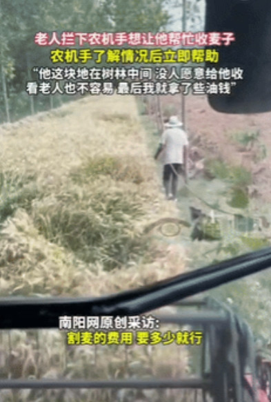 “活该他发财！”江苏一老人拦住过路的农机手，恳求对方帮忙收下麦子，无论多少钱都行