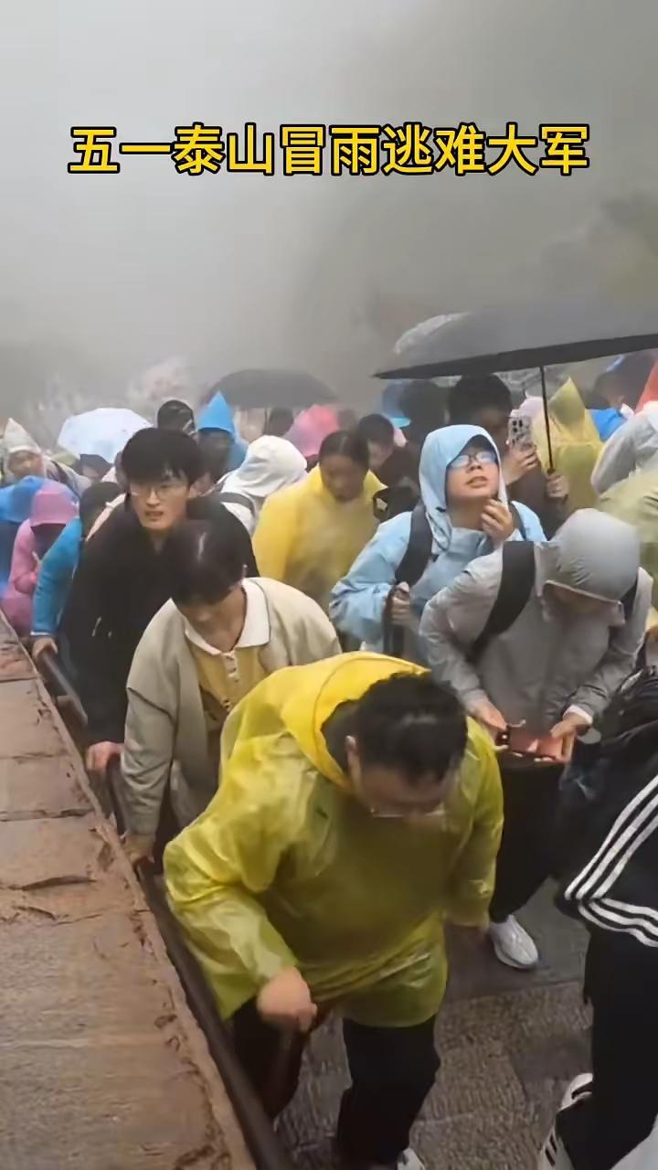五一泰山冒雨逃难大军。远看像一群要饭的，近看像一群逃难的，仔细一看都是吃饱了撑