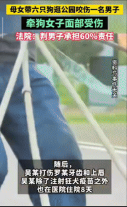 “吵翻了！”新疆一男子在公园打电话时，发现腿部被狗咬伤，就捡起石头打狗，狗主人不