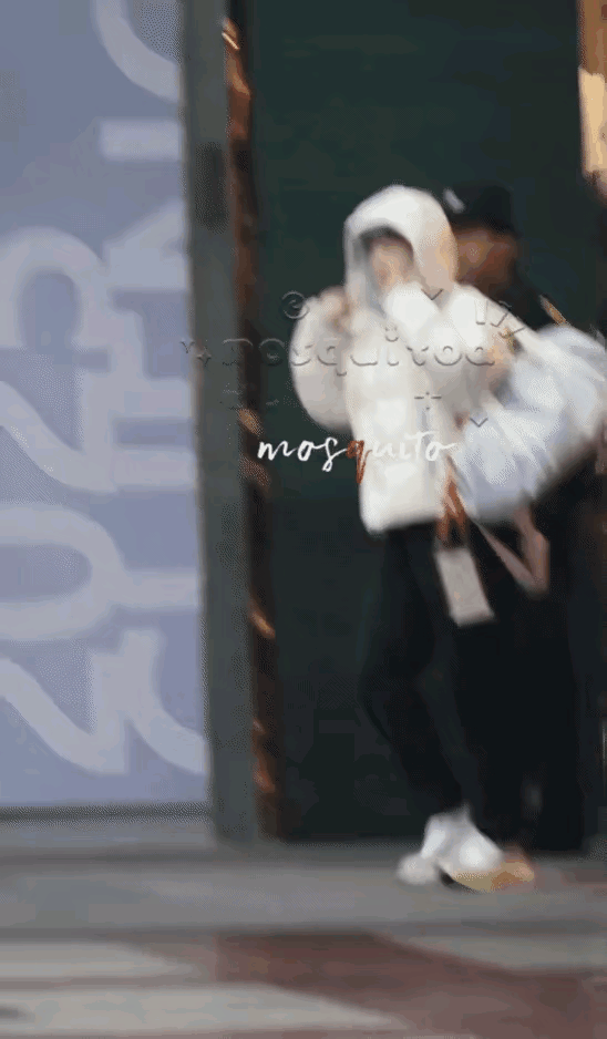 11月29日新鲜的莎头上训去了！今天早上成都气温比较低，前后脚去上训的莎头都穿