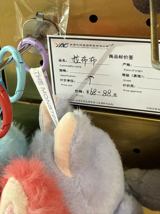 西双版纳机场你到底要闹哪样…