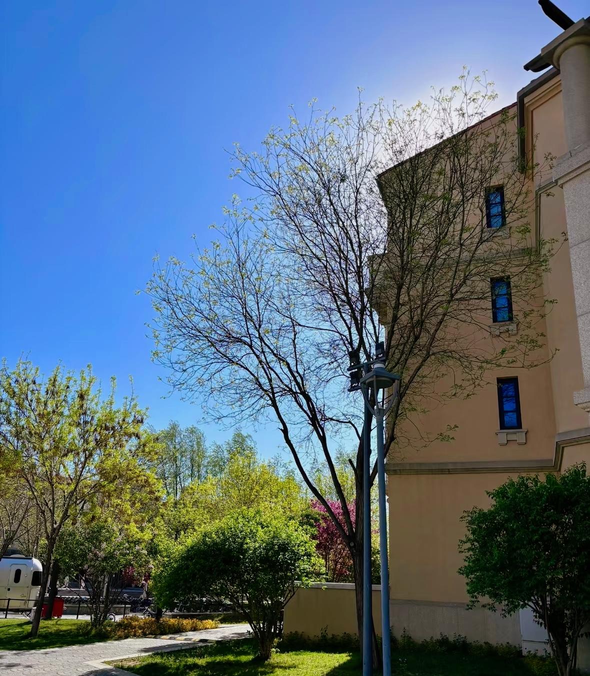 ：）曾仕强老先生说：你四个为人处事真相，听懂了，你自在一生。第一，不要随便的可