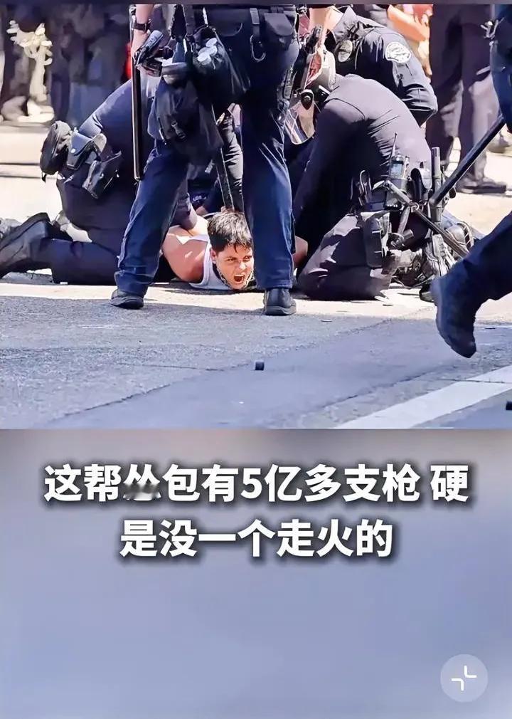 美利坚的词典里是没有，革命，起义，造反，这些词汇吗？“北美懦夫”这词彻底火