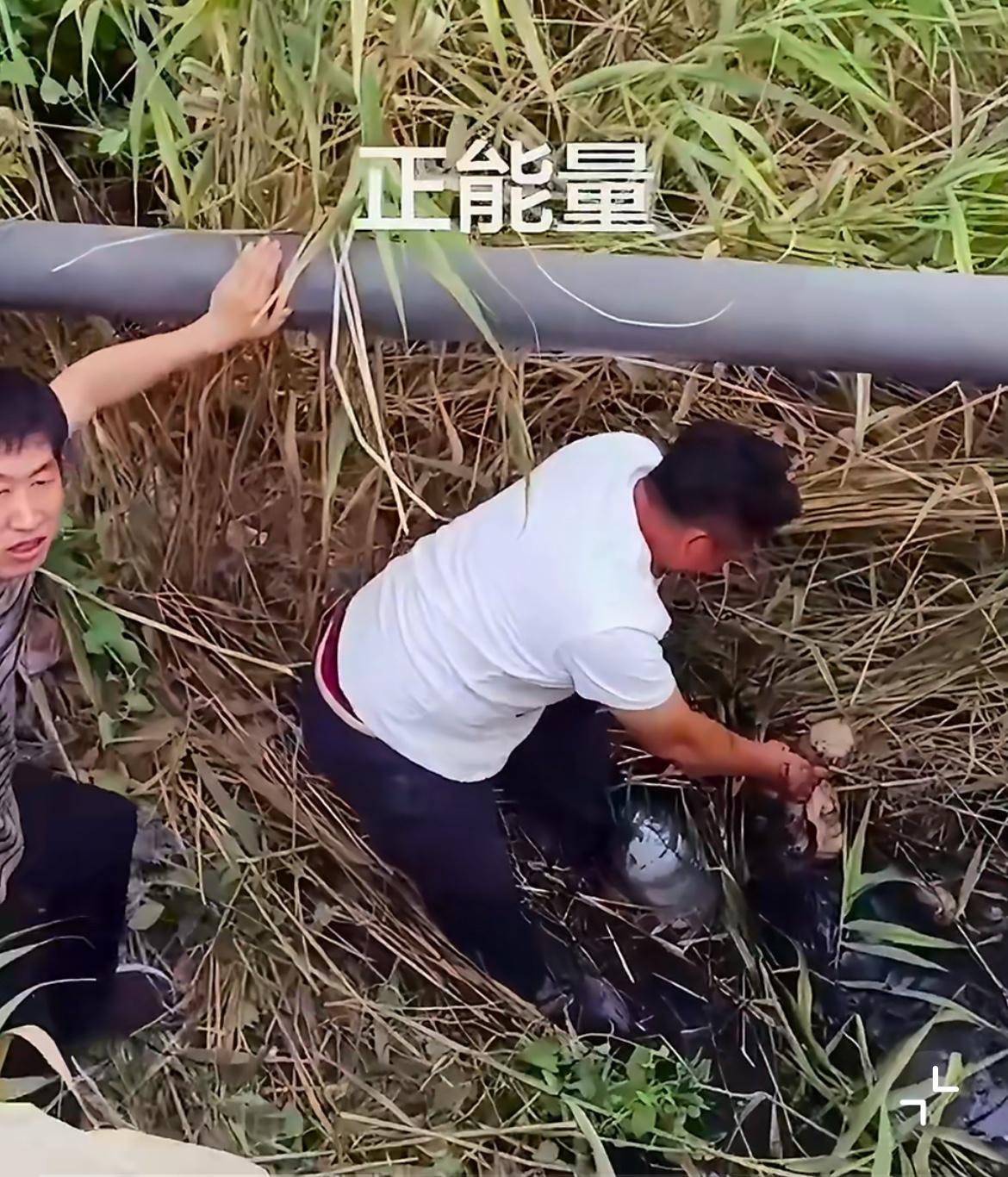 一大妈跳河自杀，被白衣大哥死命的拖住。大妈说她生病了，不想拖累家人，想一走了之，