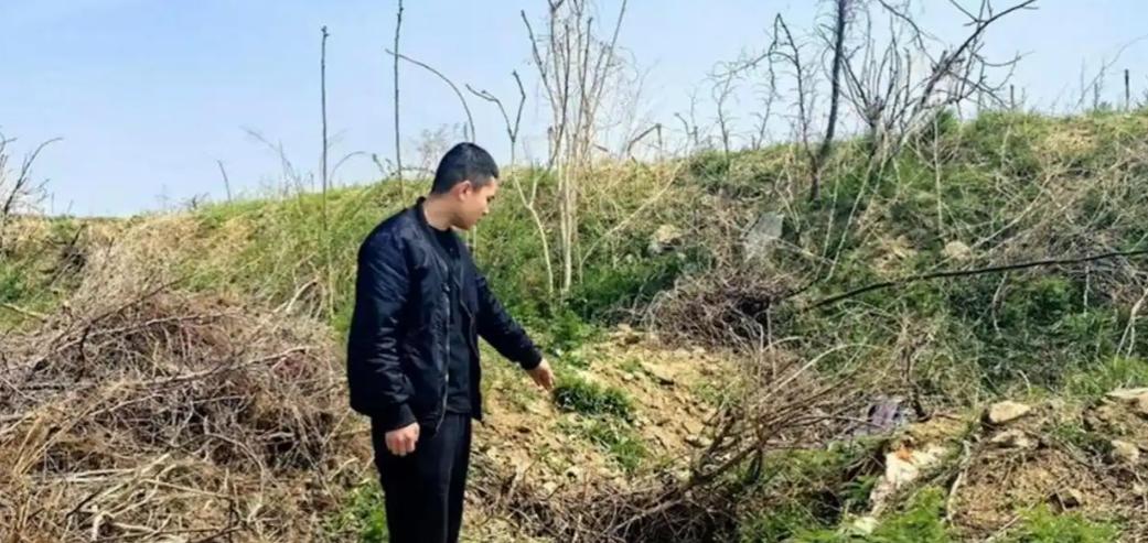 大半夜不睡觉，河北石家庄52岁的高某兰跟着邻村熟人溜进地里偷花生。本以为只是顺手