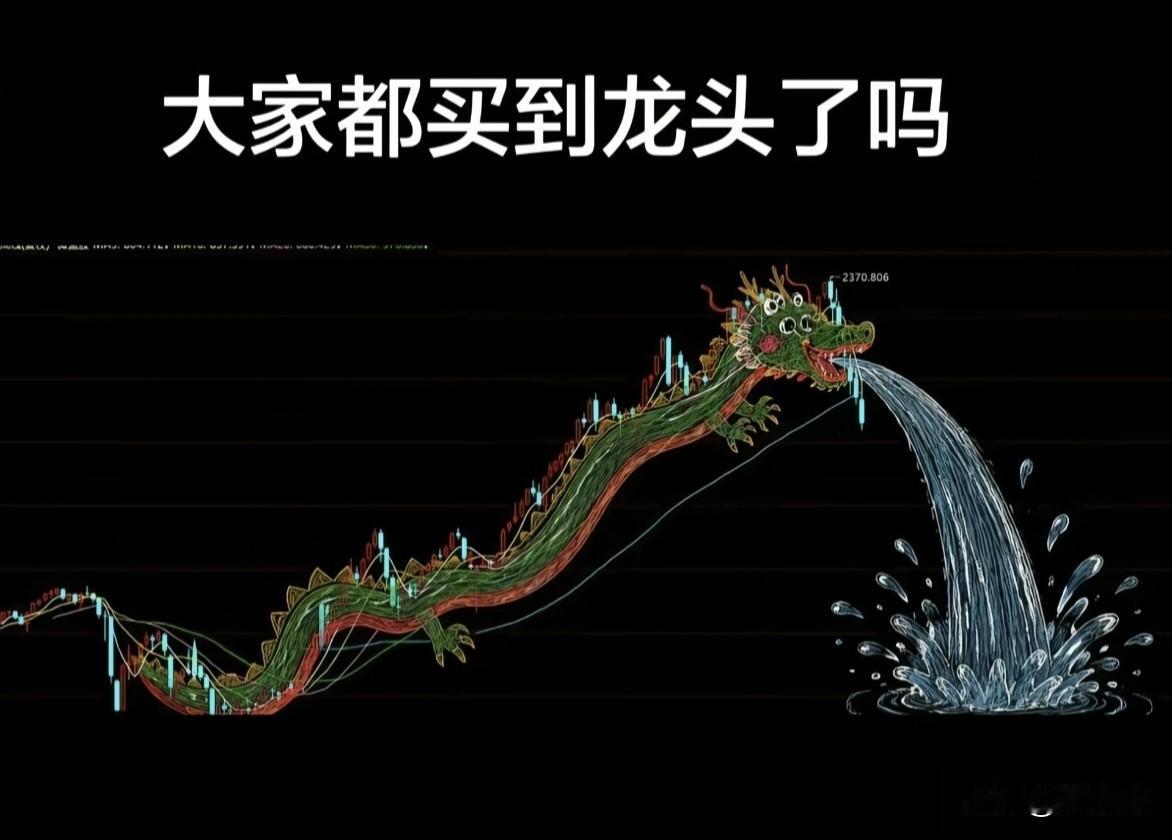 大家都买到龙头股了吗？（吐出来太猛了！）