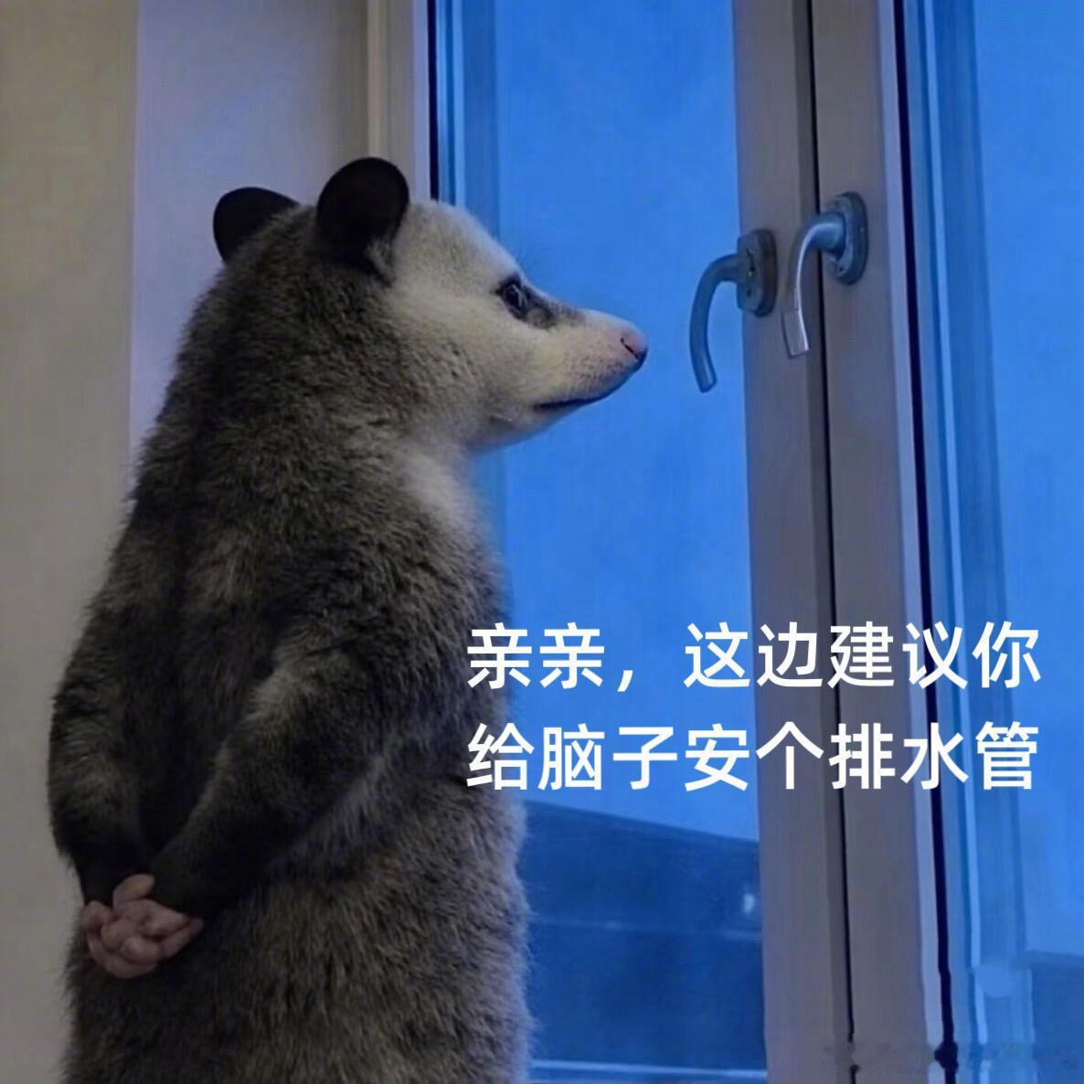 当十二星座接到诈骗电话……白羊：你谁啊？骗谁呢？（挂了）金牛：你说什么？再说一遍
