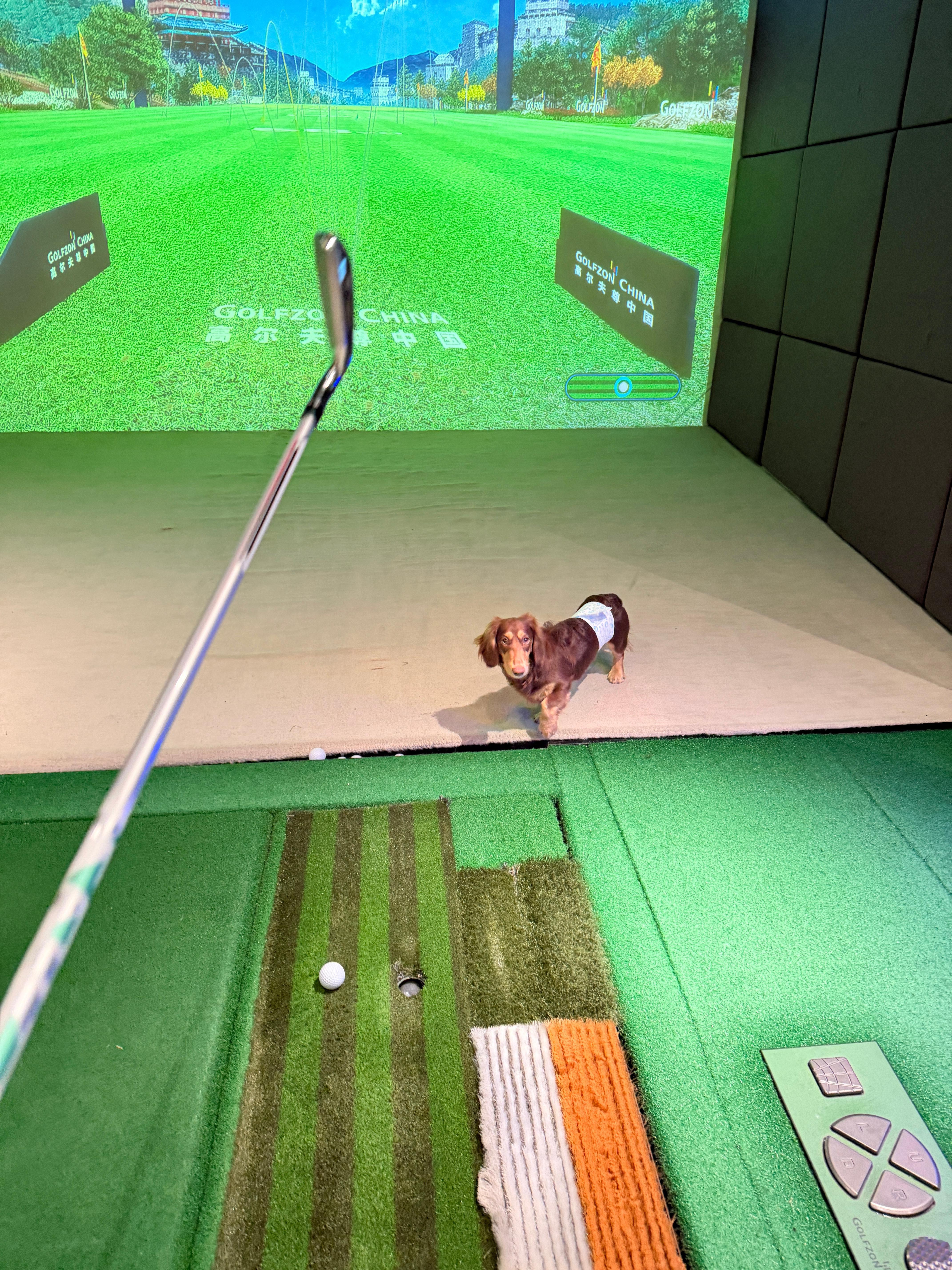 难啊2800一节的教练课我再打不好我就是猪