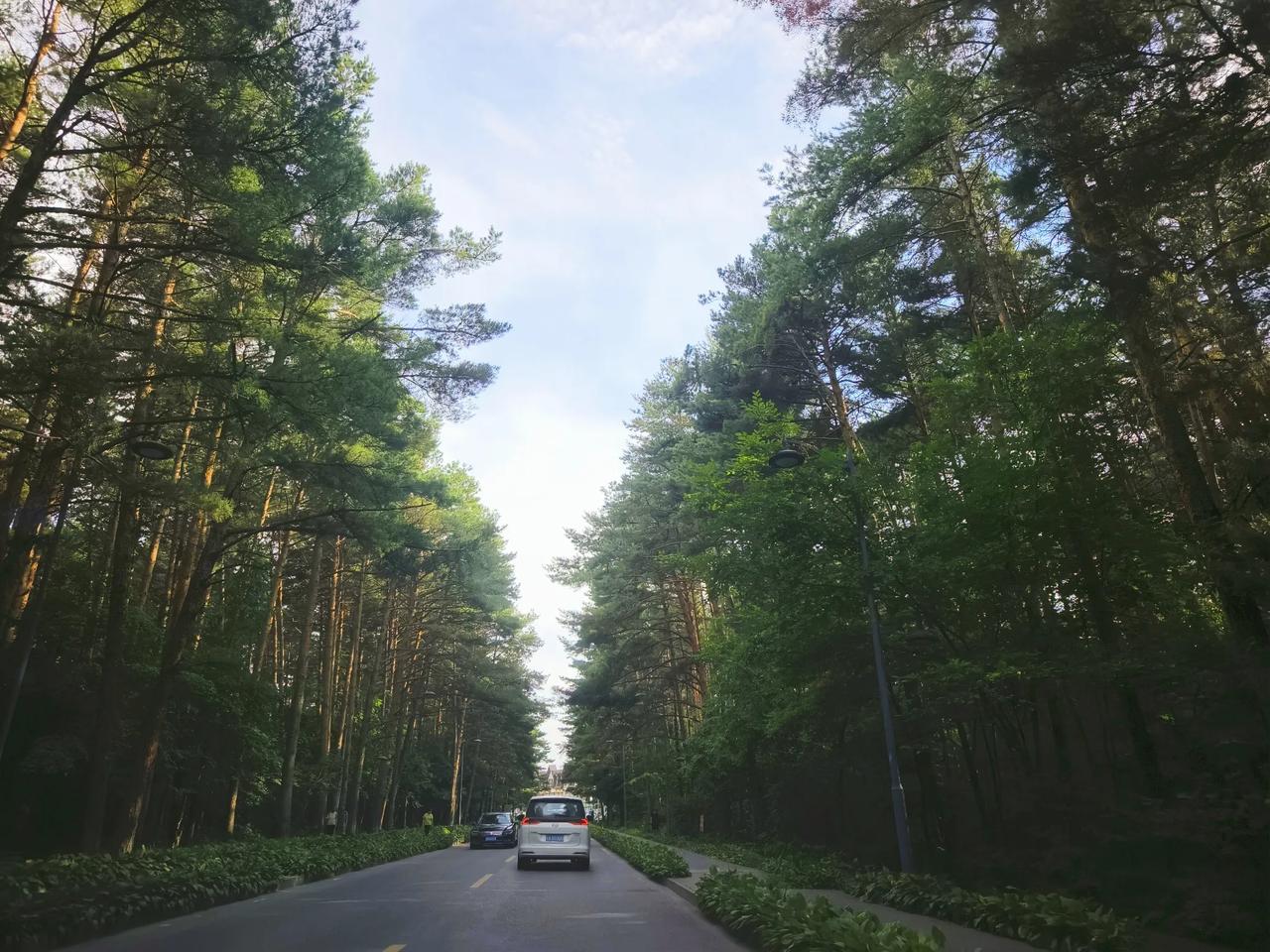 入住二道白河镇！从沈阳高铁到长白山，居然是路过长春的，早知道行程就换种安排了！