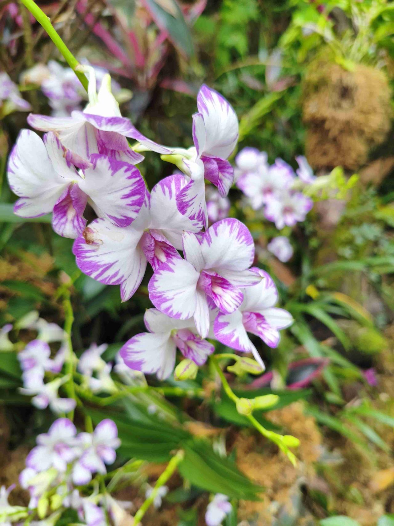 我今年六十二岁，退休两年。退休后，没有上老年大学，也没有再就业，买菜，做饭，收拾