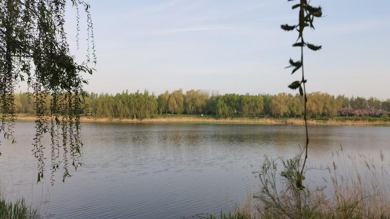 记住，手上就是四个字拧裹钻翻，没有多余动作，这就是形意拳的精华，手上的这动