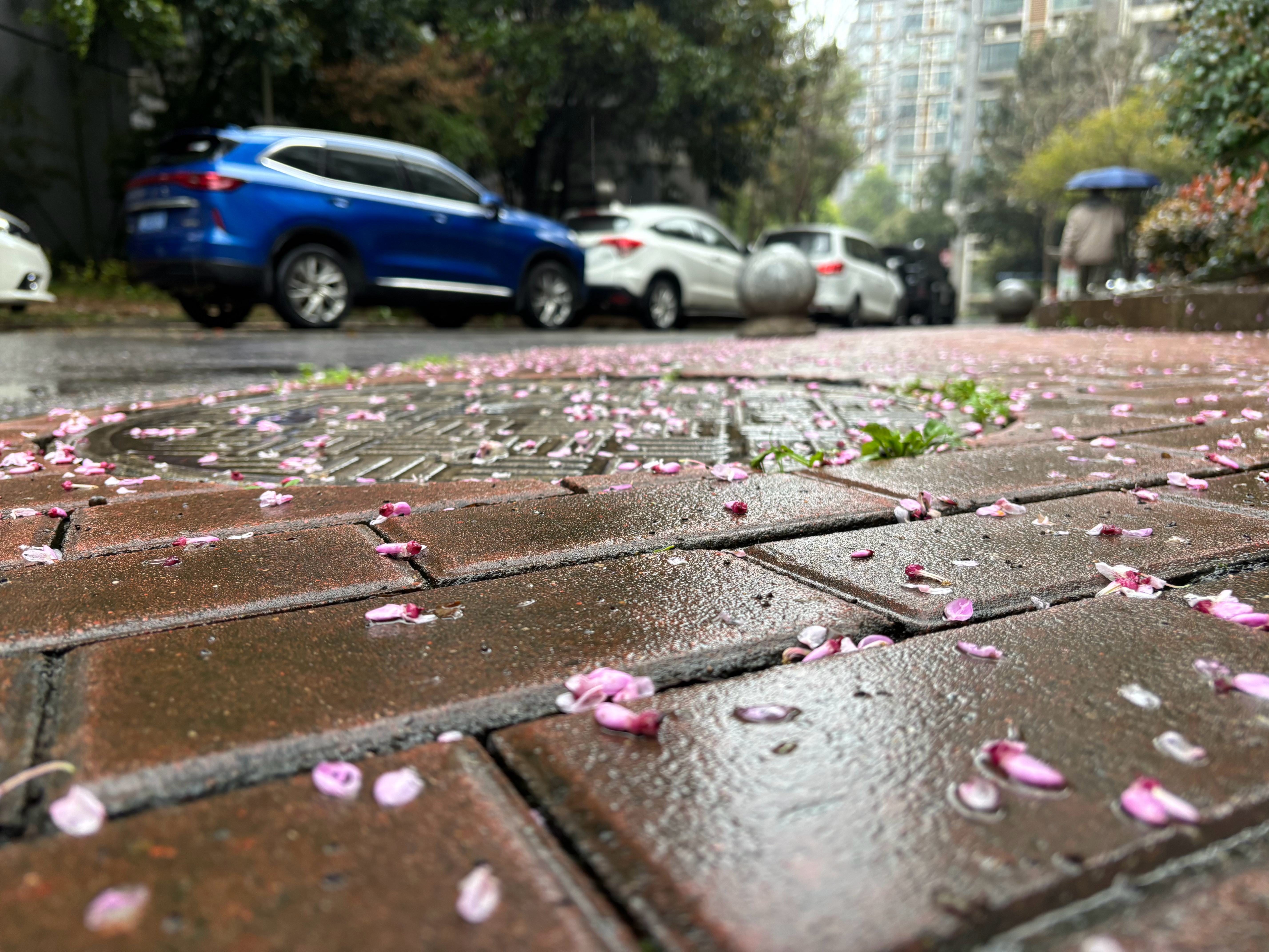 最近湖南的雨没完没了随地大小下☔️