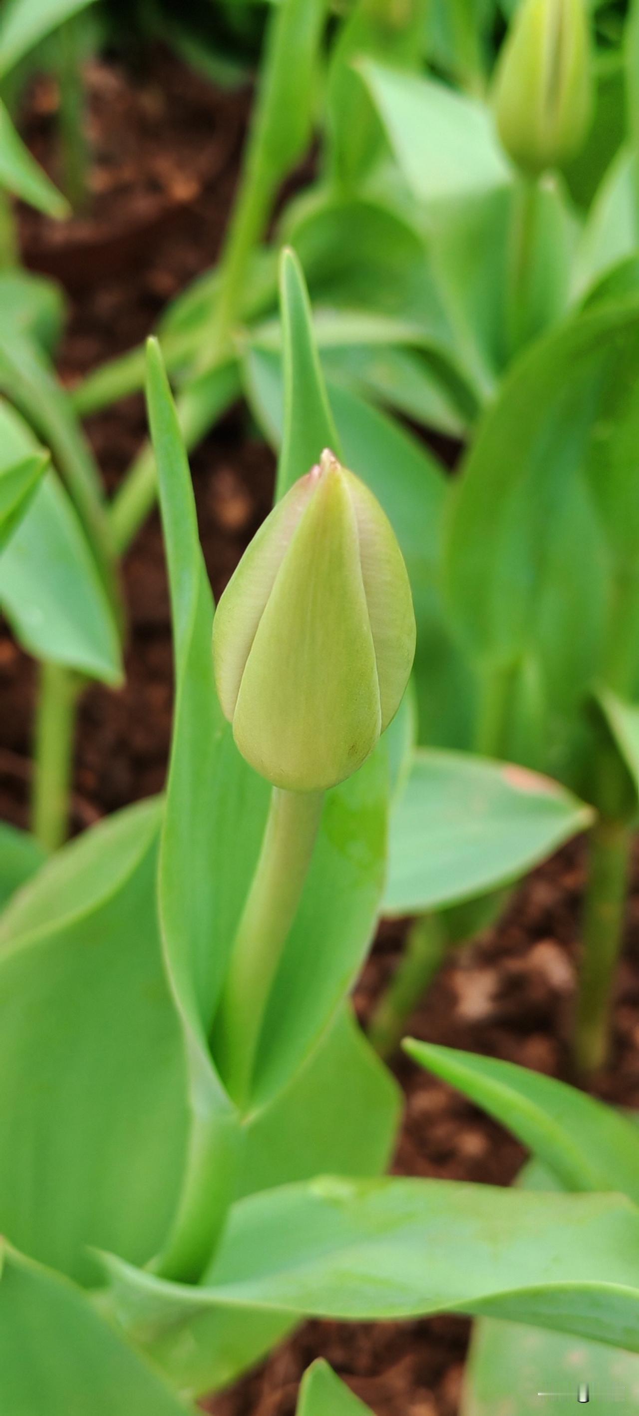 女子五十三岁，和我同岁[捂脸哭]。找了一个68岁的男朋友，老头挺有钱的，但是老