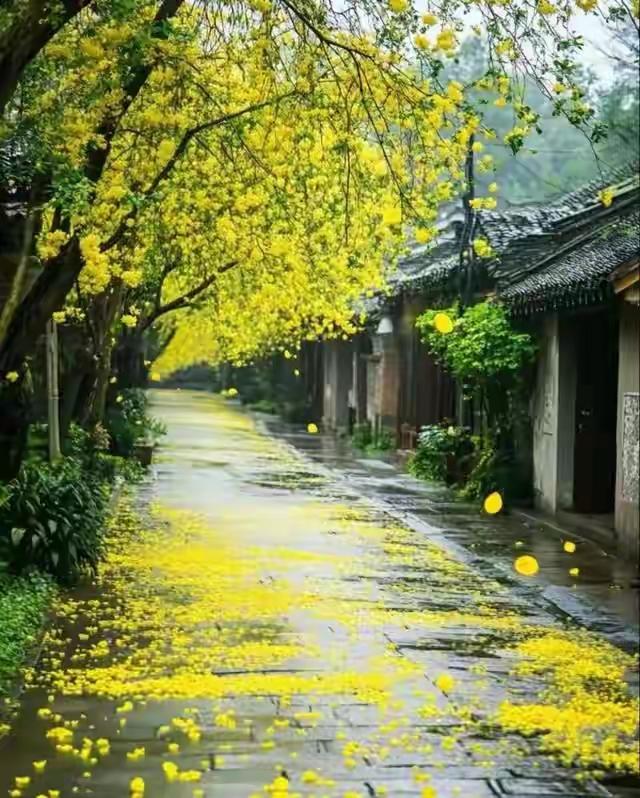 人活着不要考虑太多事情。顺境也好，逆境也好，都要简单地过。这句话听起来似乎很