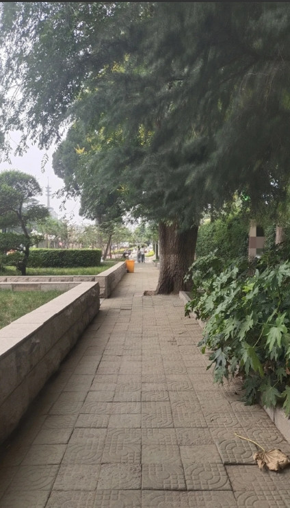 离婚了还同住在一个屋檐下你说尴尬不尴尬？我一个女同事，跟老公离婚6个多月了，谁