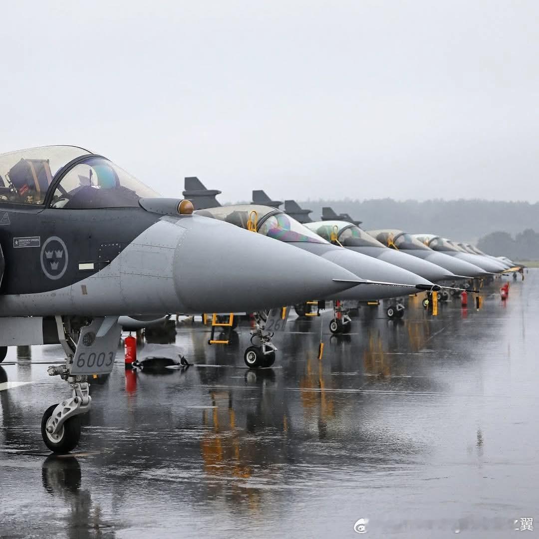 鹰狮E与鹰狮C，机头和前起落架明显不同，加上机身主起落架的重新布置，基本上鹰狮E