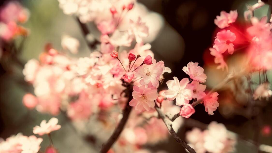 4月好运势满格,5月火力全开的生肖,实力出众,喜迎新篇章