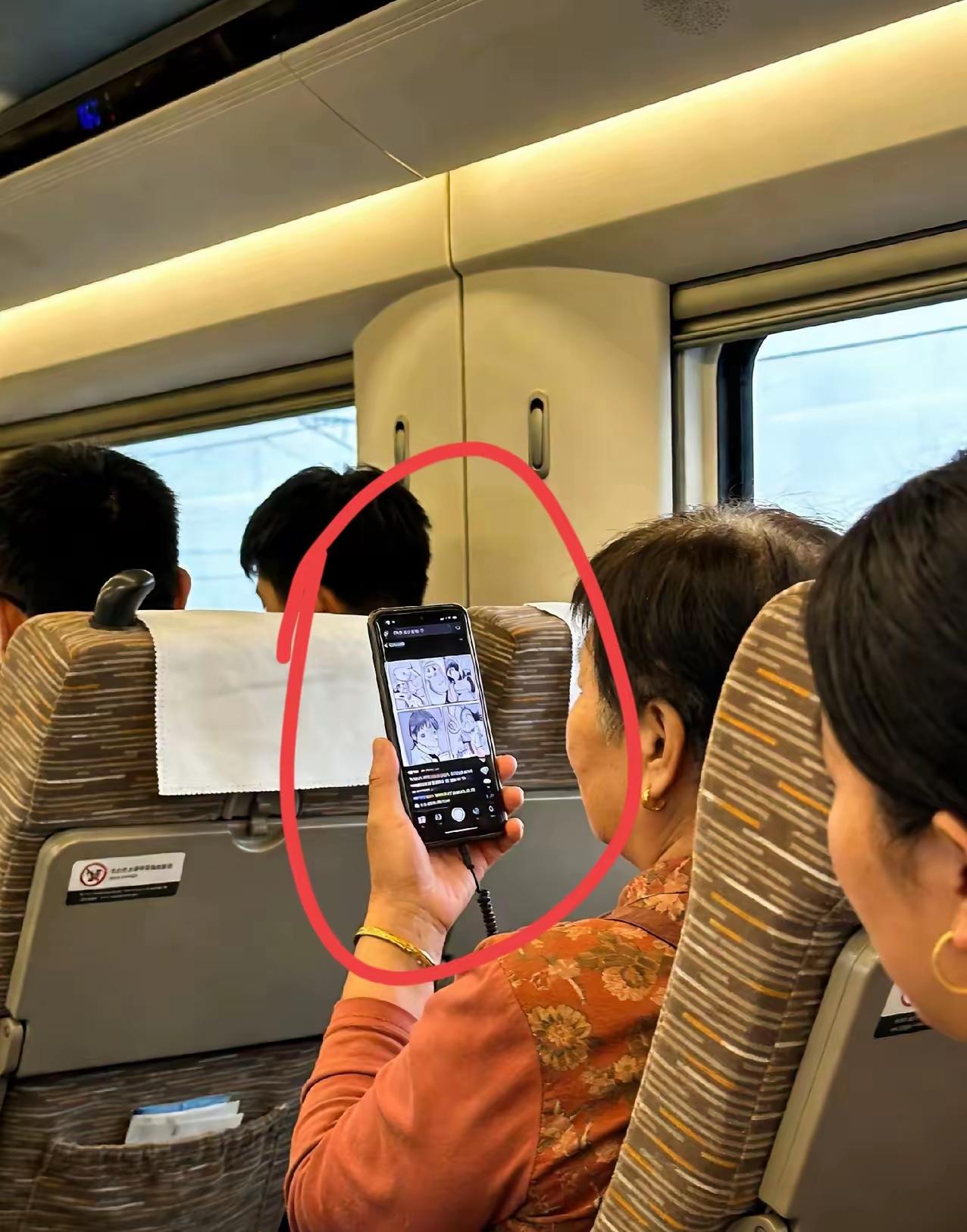 高铁大娘外放装聋作哑坐高铁最恶心的事，没有之一，就是遇上这种旁若无人的外放党