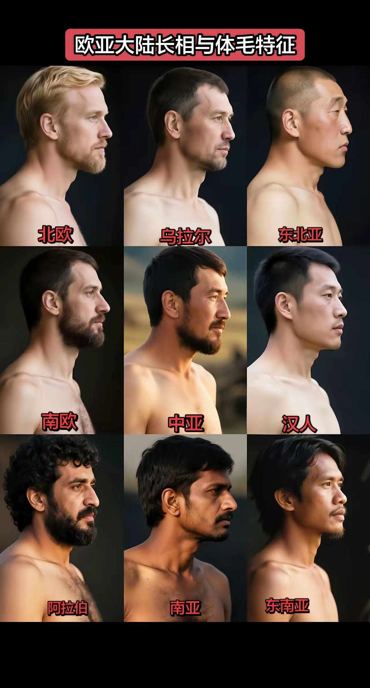从人类进化的角度来说，中国人是最彻底的，兽性残留最少的。白种人高鼻深目，五官立体